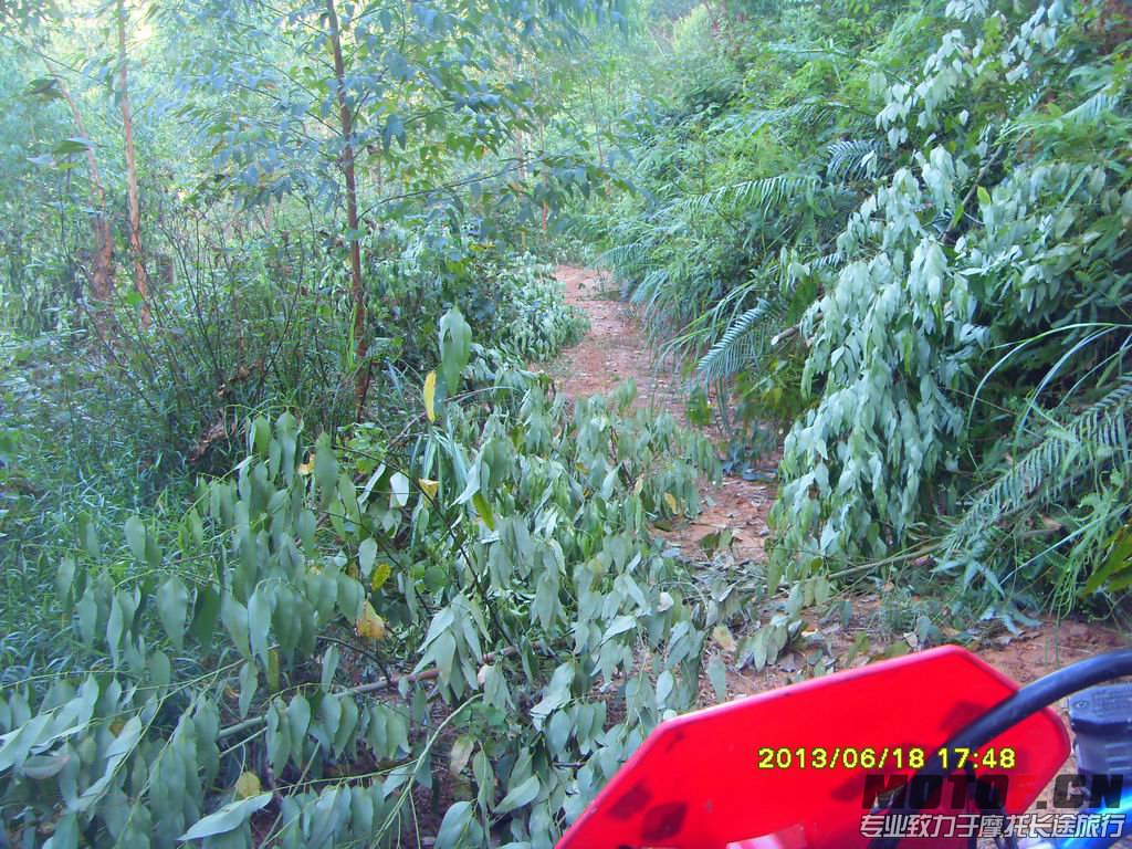 SDC13771.JPG