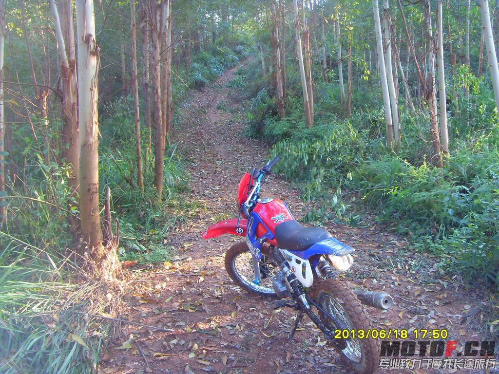SDC13773.JPG