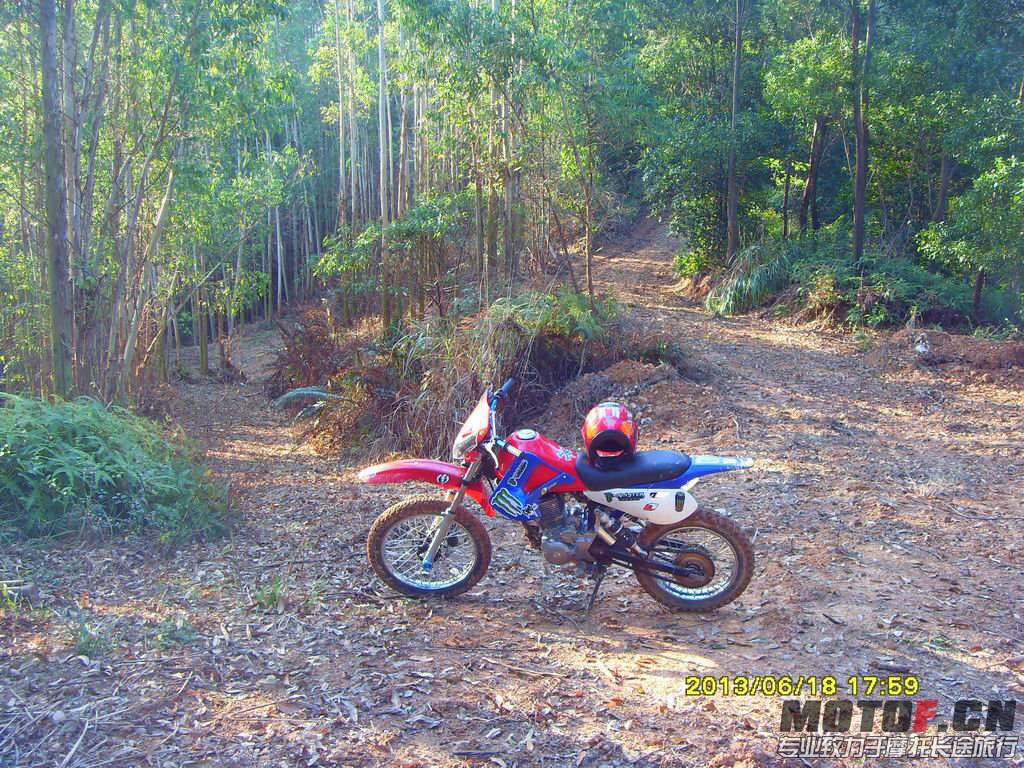 SDC13777.JPG
