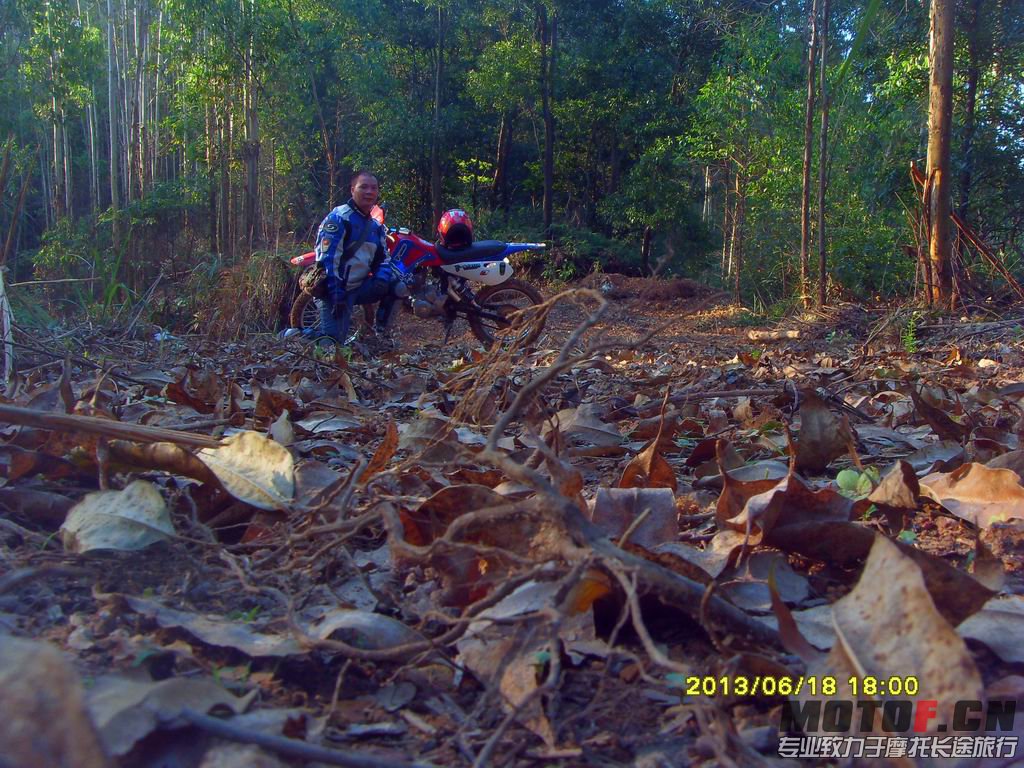 SDC13779.JPG