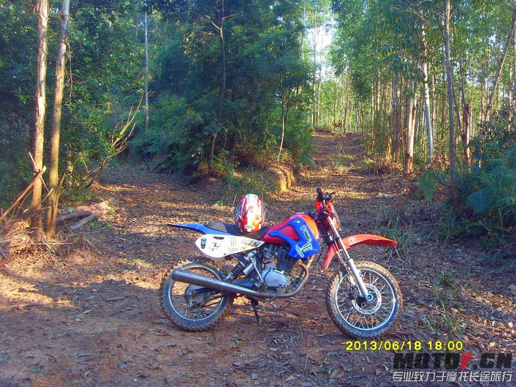 SDC13780.JPG
