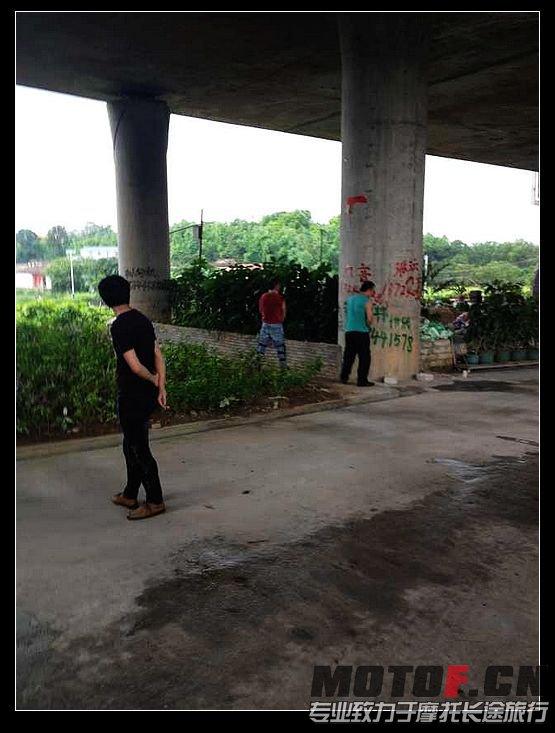 nEO_IMG_照片 012.jpg