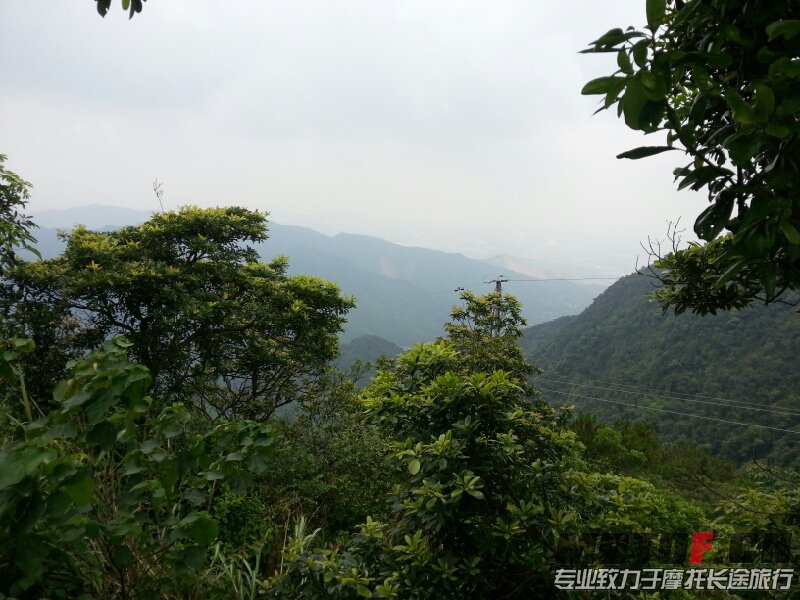 山顶风景