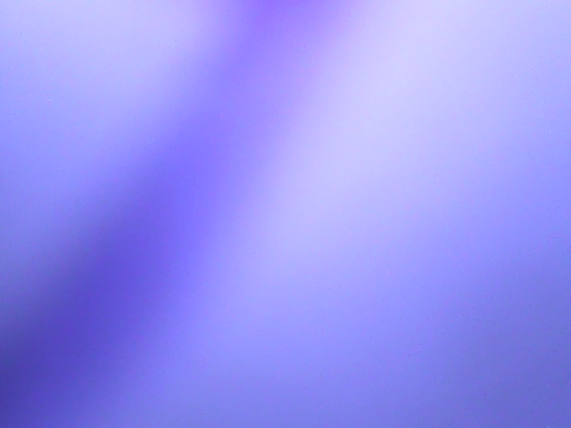 IMG_20130329_112124.jpg