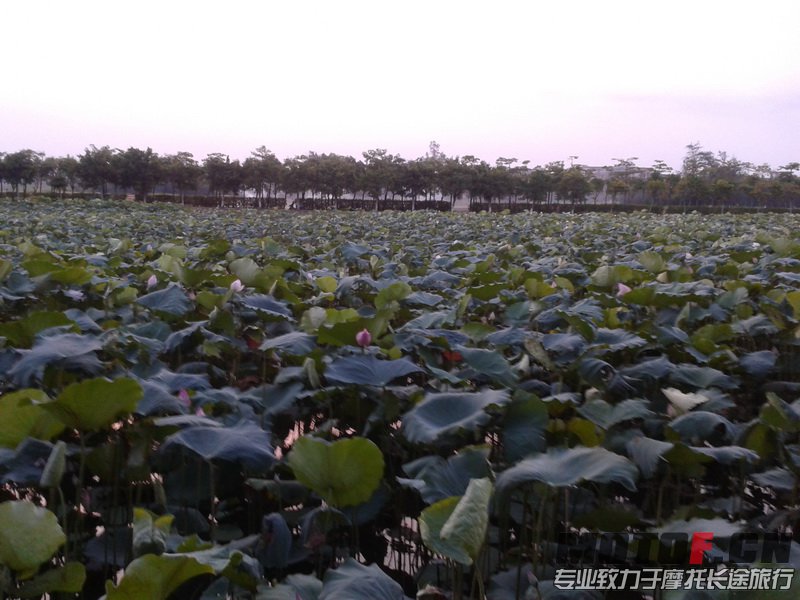 20130628_192020_调整大小.jpg