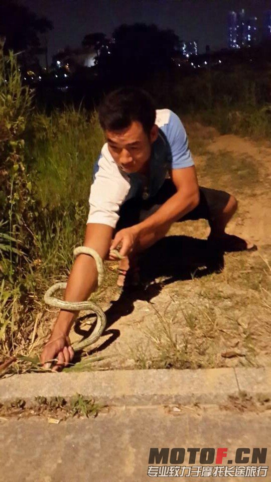 QQ图片20130702125604.jpg