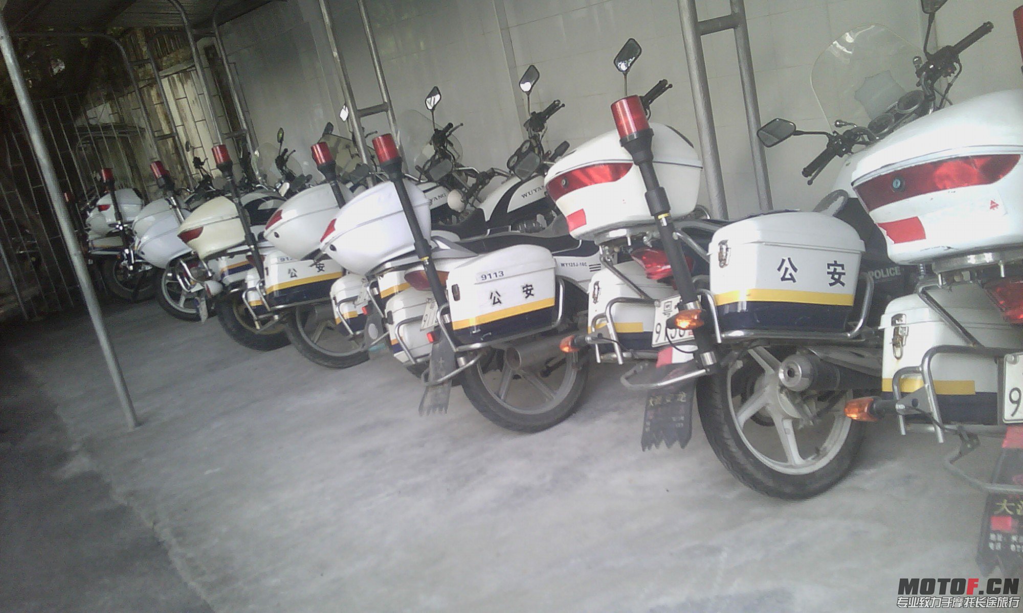 IMG_20130705_094051.jpg