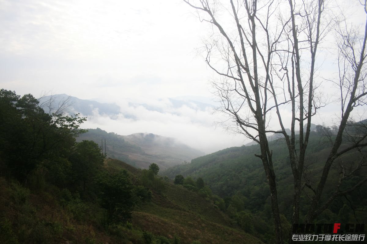 _MG_7072.JPG
