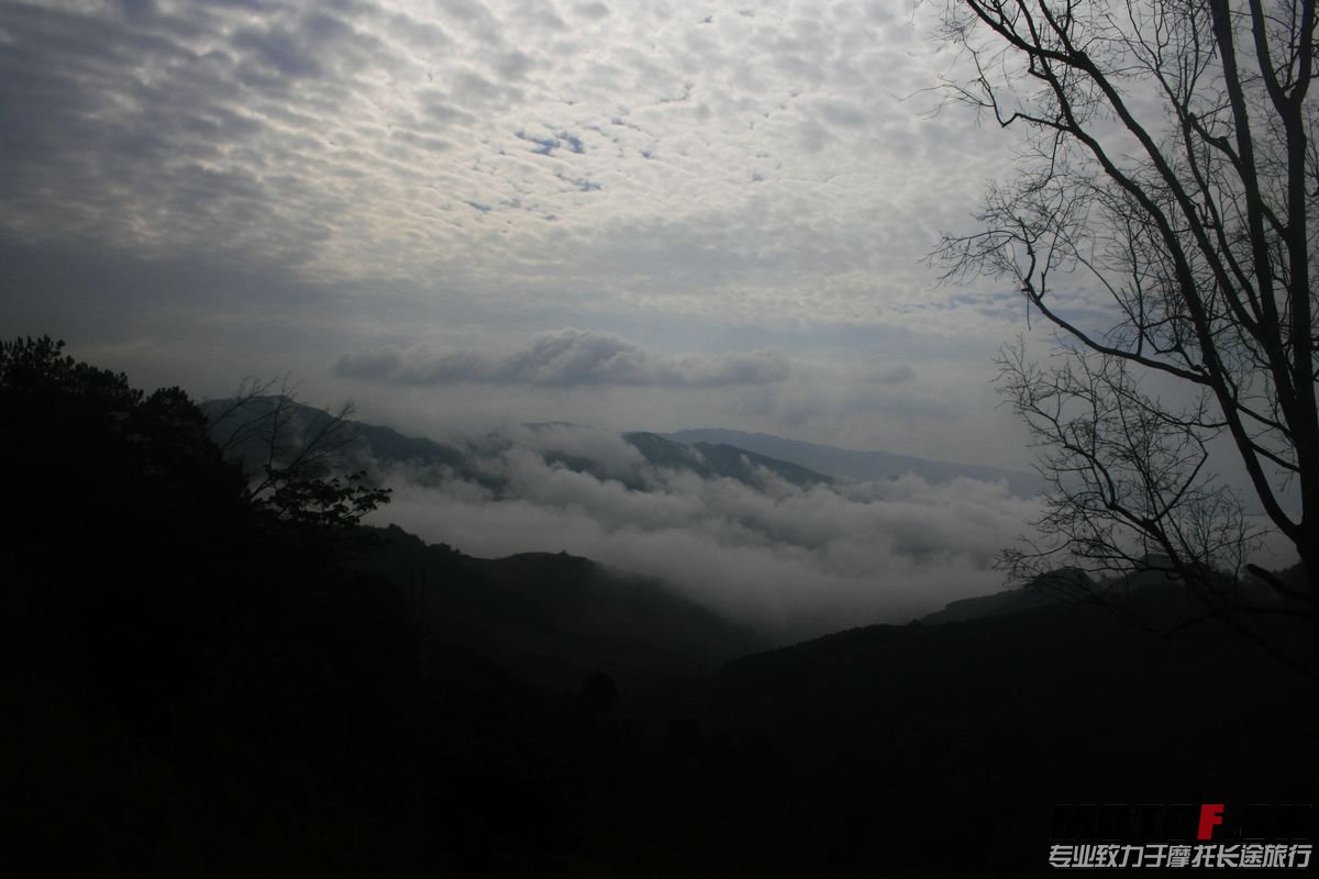 _MG_7077.JPG