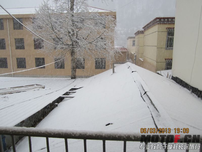 IMG_2625.jpg