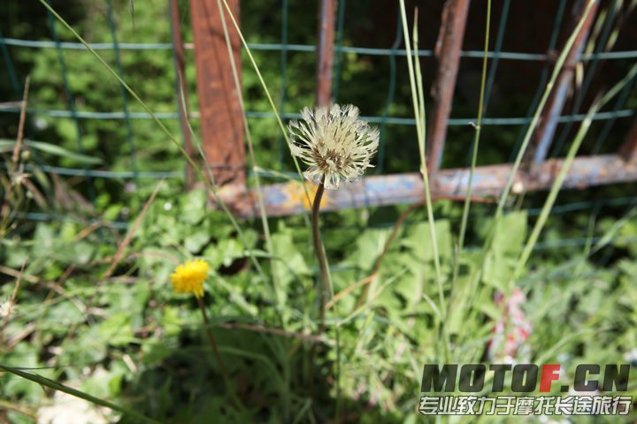 照片 274.jpg