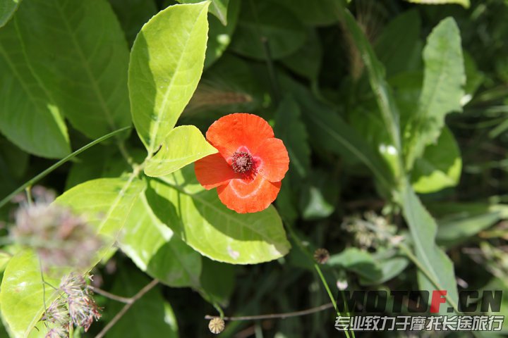 照片 275.jpg
