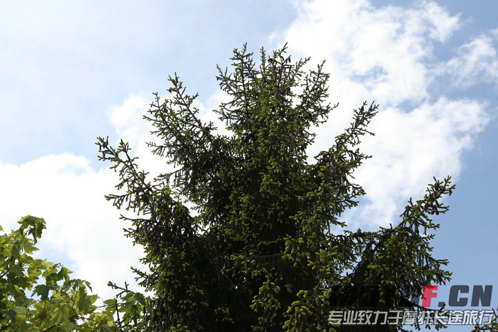 照片 277.jpg