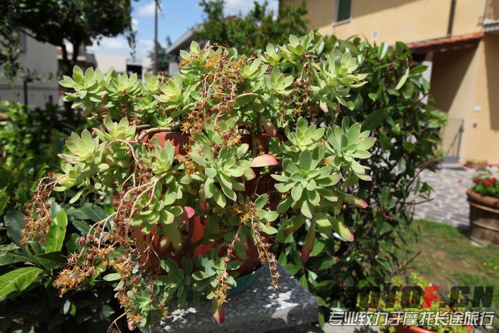 照片 279.jpg