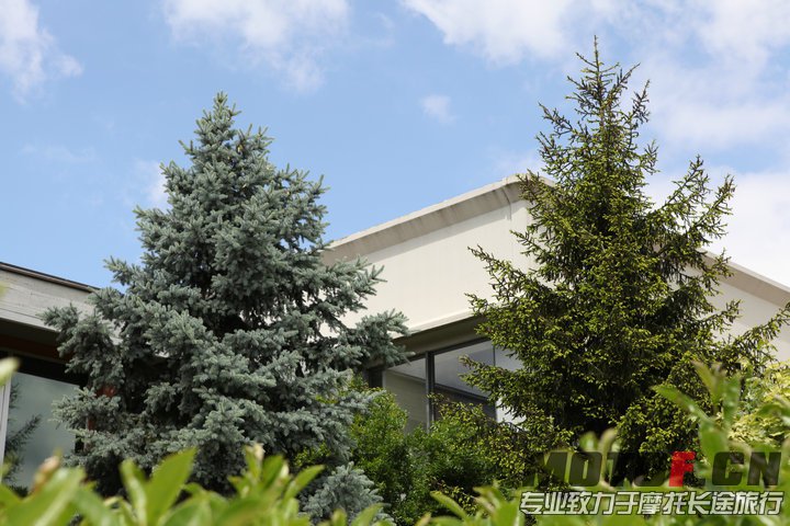 照片 290.jpg