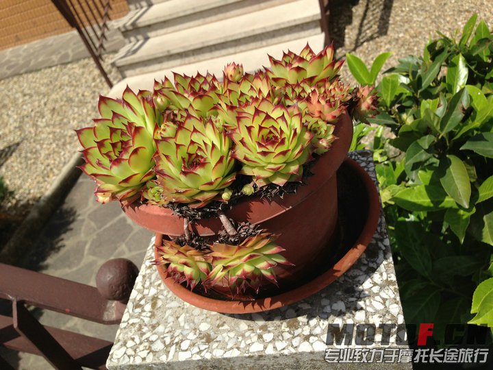 照片 1028.jpg