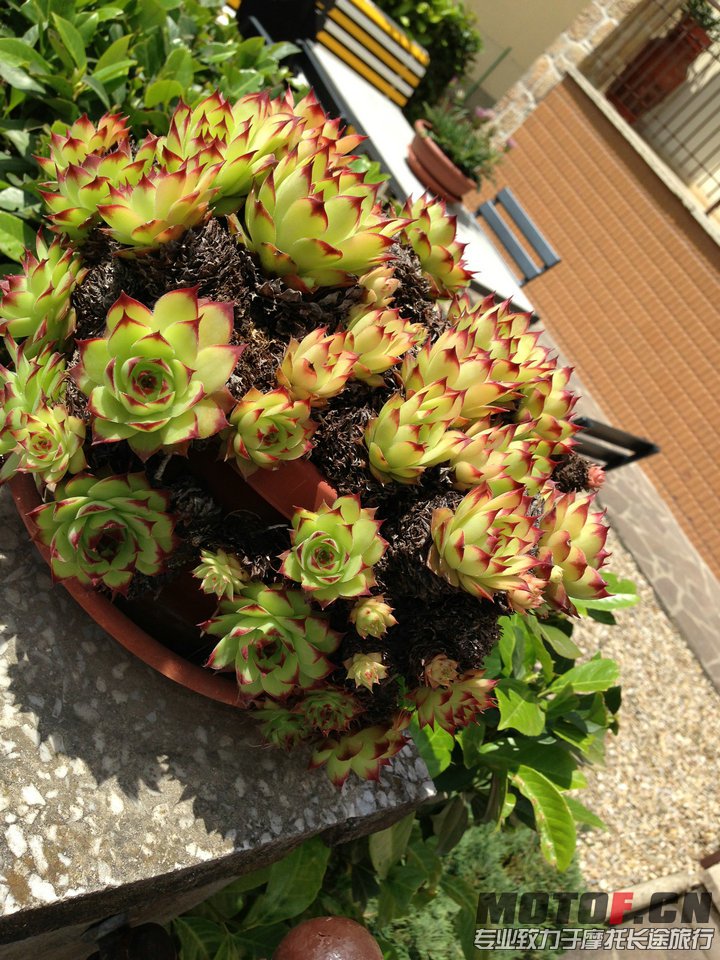 照片 1029.jpg