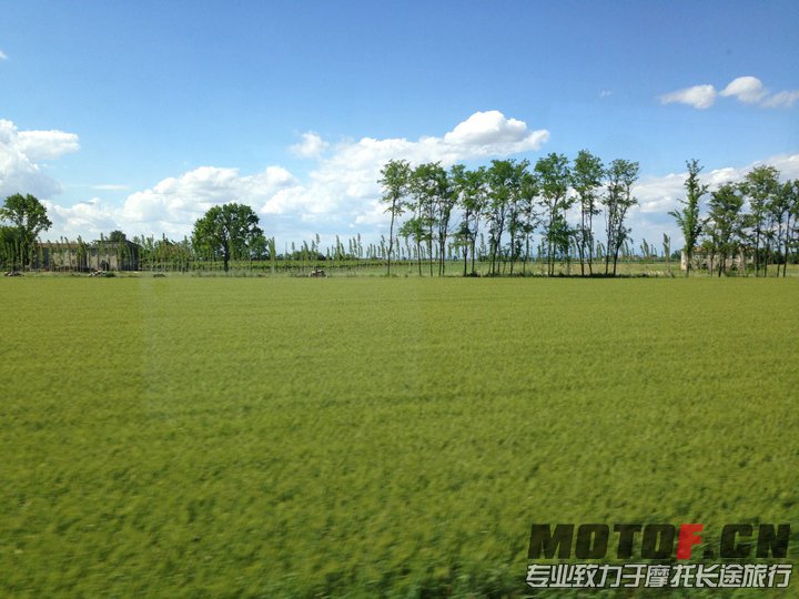 照片 1077.jpg