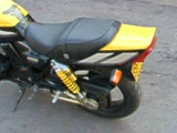 wangjian3525503i56olo56i56.com_zhajm_1176891825_26.jpg