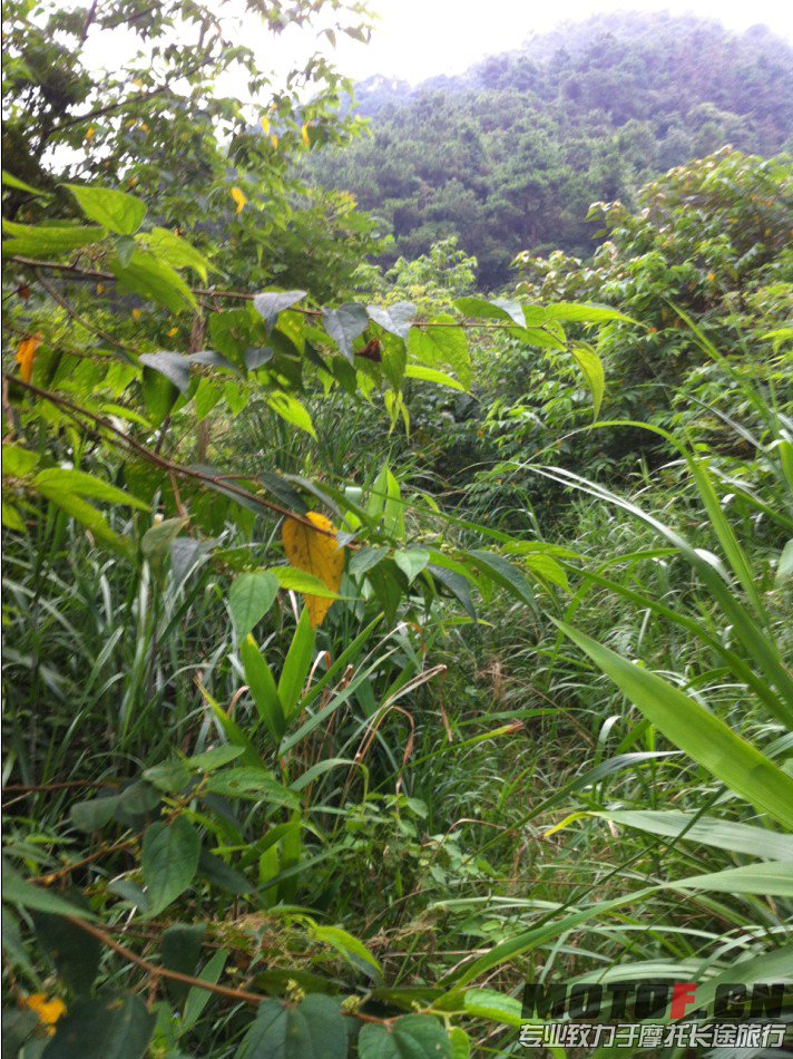 QQ截图20130714203153.jpg