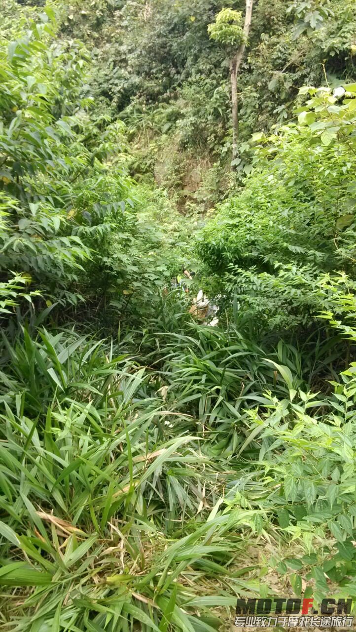 QQ图片20130714205701.jpg