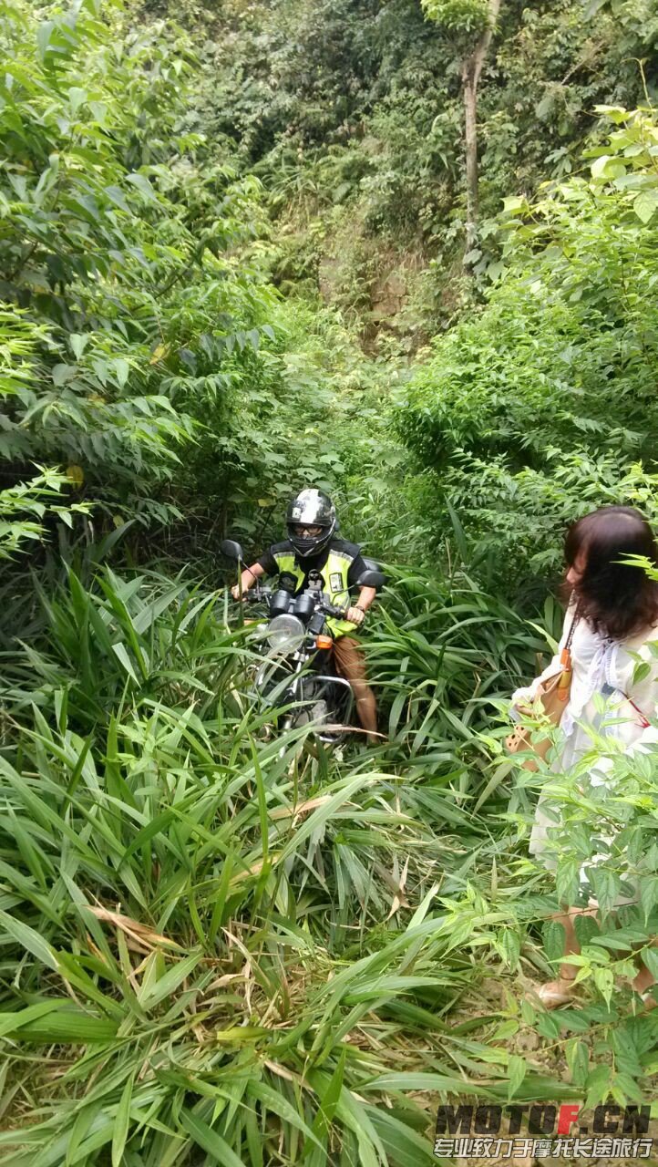 QQ图片20130714205806.jpg