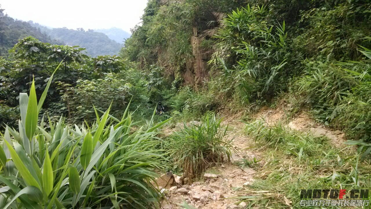QQ图片20130714205816.jpg