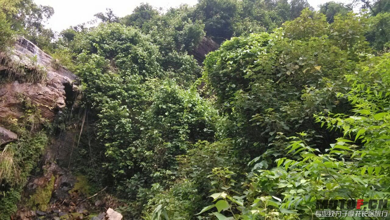 QQ图片20130714205826.jpg