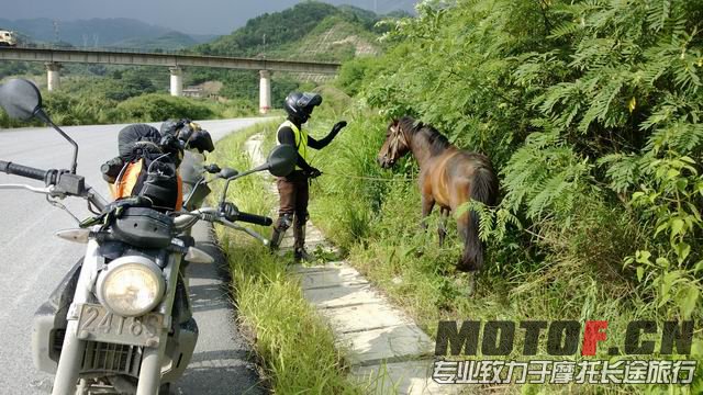 这才是真正四驱宝马,