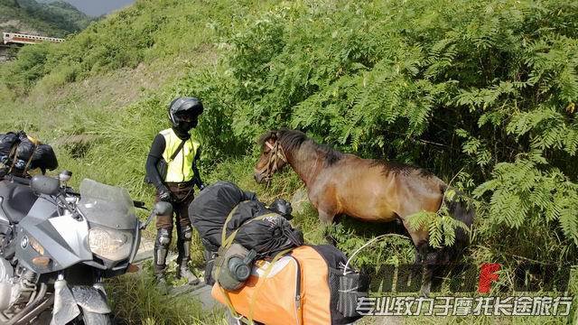 调整大小 WP_20130623_019.jpg