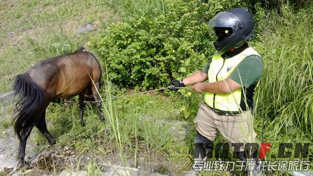 我拉我拉，跟老子走……