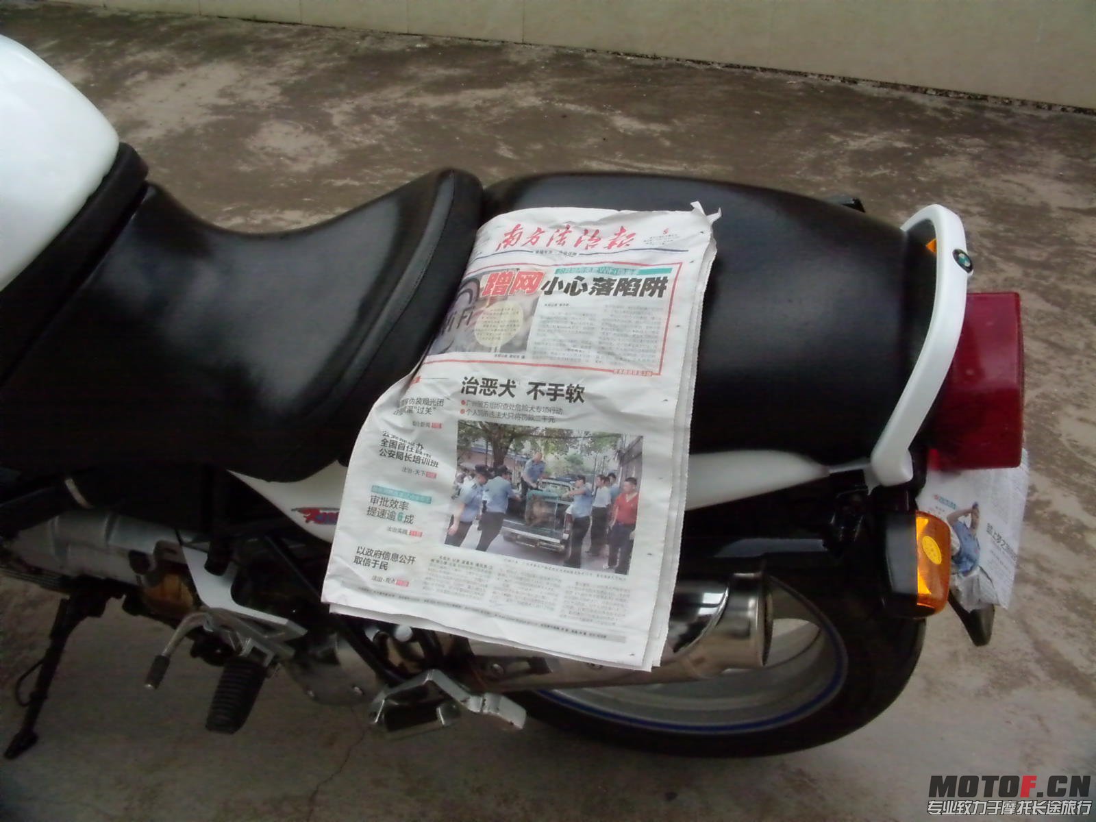 DVCI1580.JPG