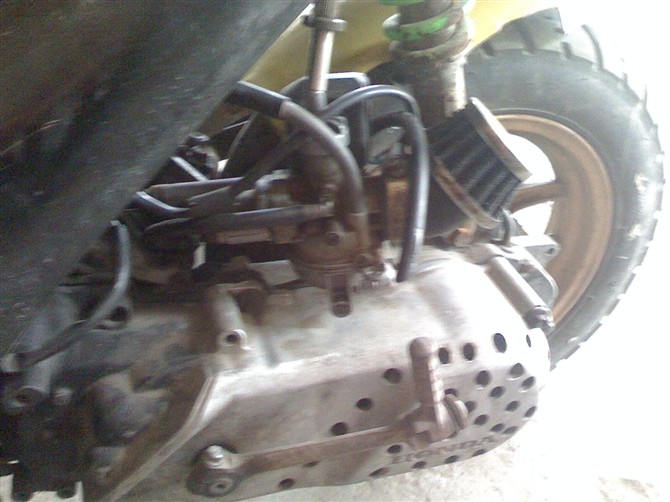 ZX34.jpg