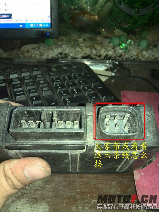 被剪了 小插口不见