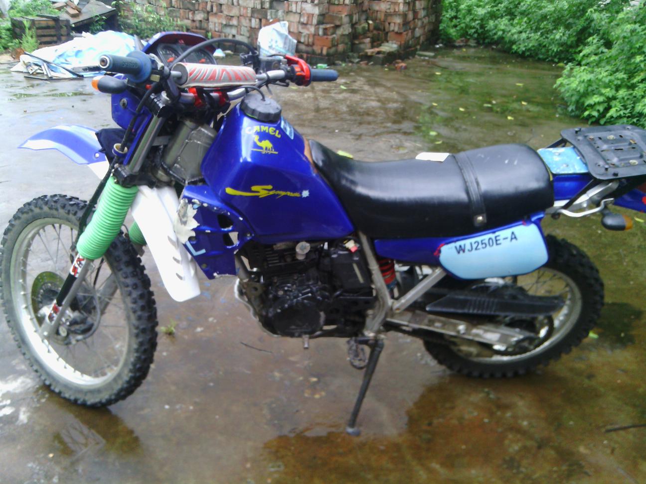 IMG_20130803_145619.jpg