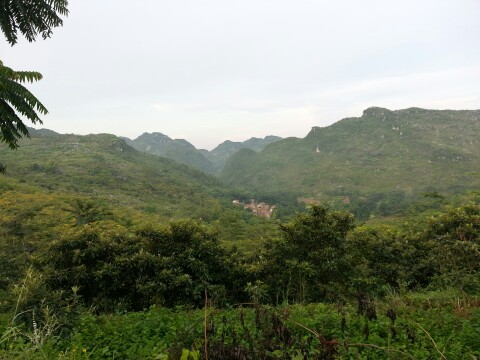 IMG20130810005331.jpg