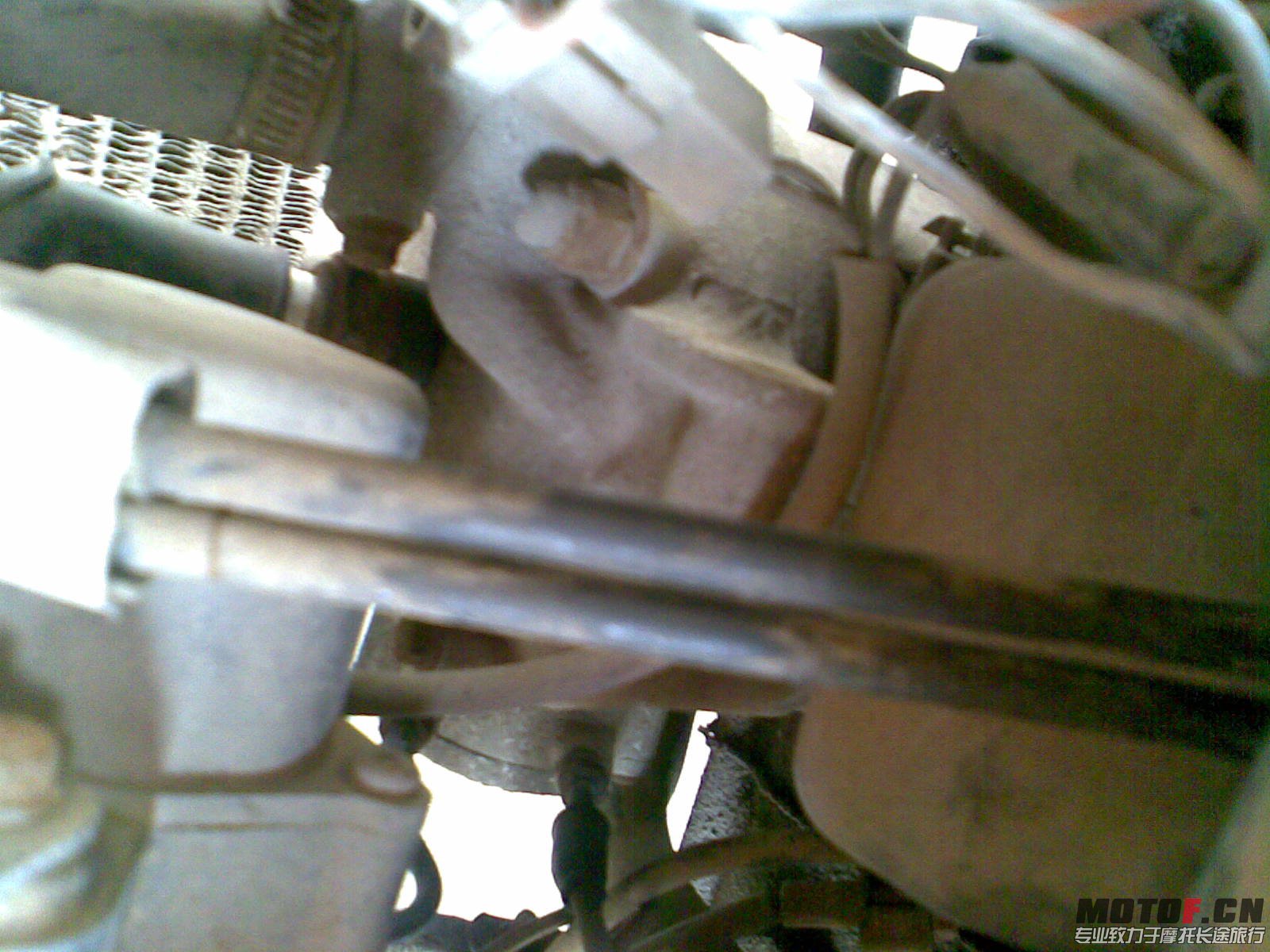 20130323(002).jpg