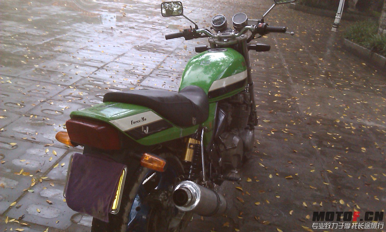 IMAG0241.jpg