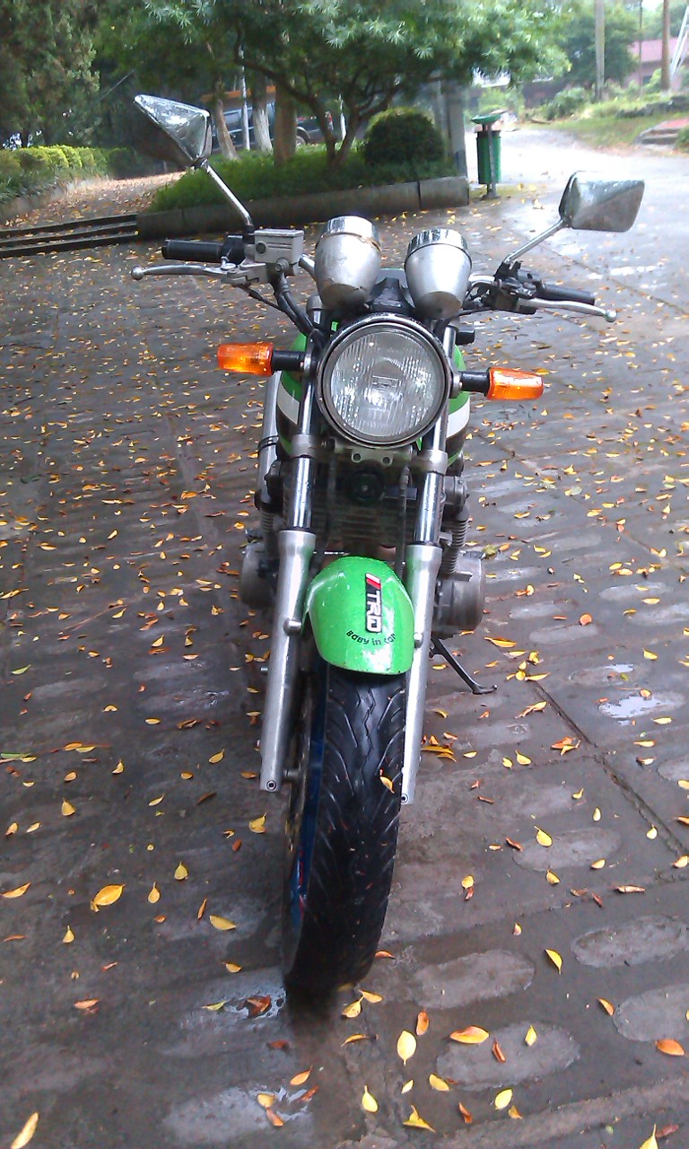 IMAG0232.jpg