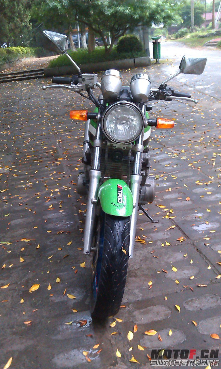 IMAG0232.jpg