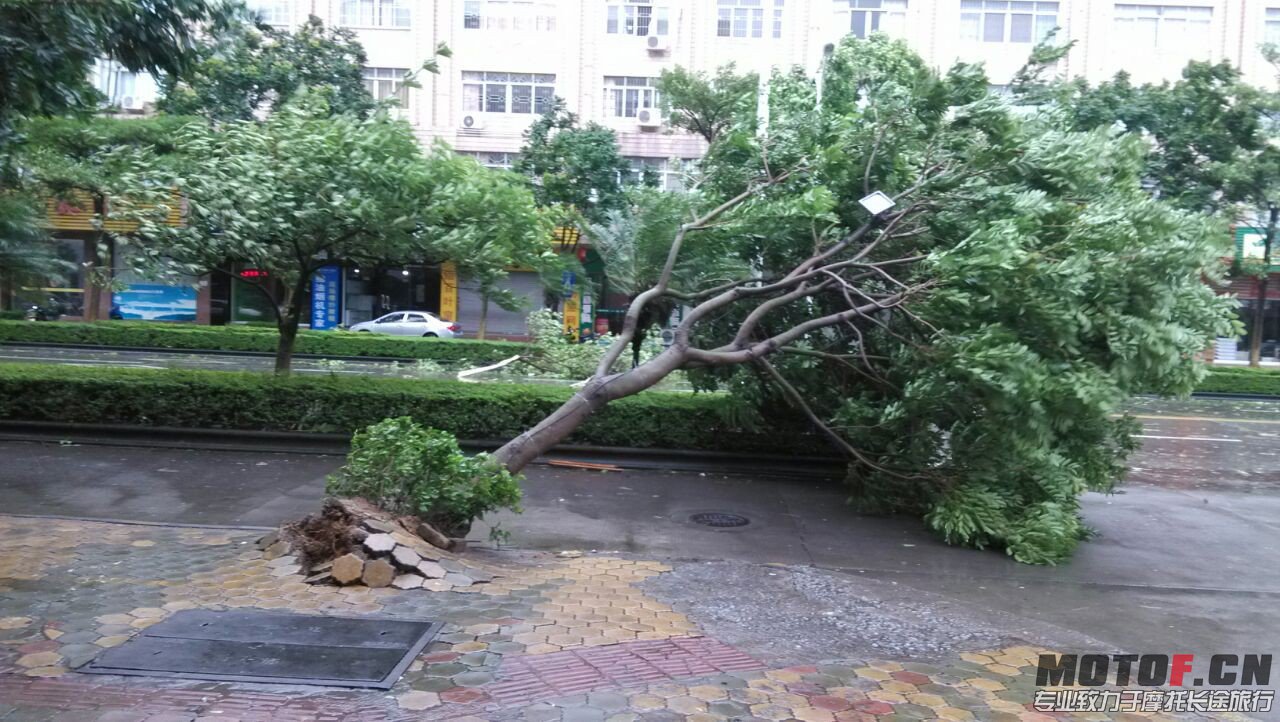 QQ图片20130814154128.jpg