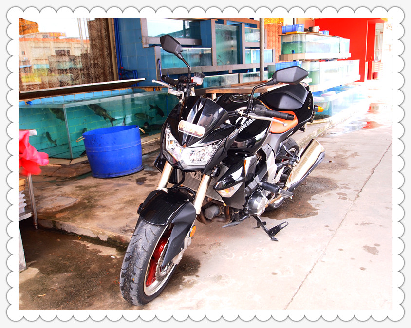 P8140579_副本.jpg