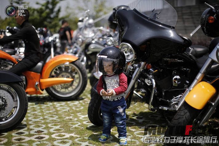 auto-00G[1].jpg