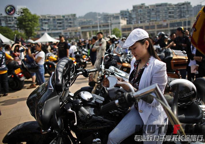 auto-01C[1].jpg