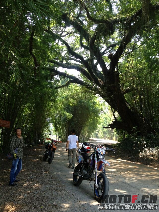 QQ图片20130820010126.jpg