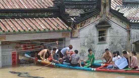 见过七月划龙舟？