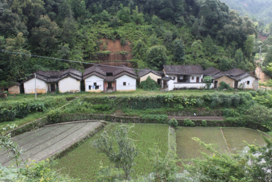 山窝里的村屋，无污染的生活地