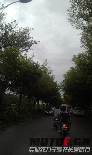 IMAG0438.jpg
