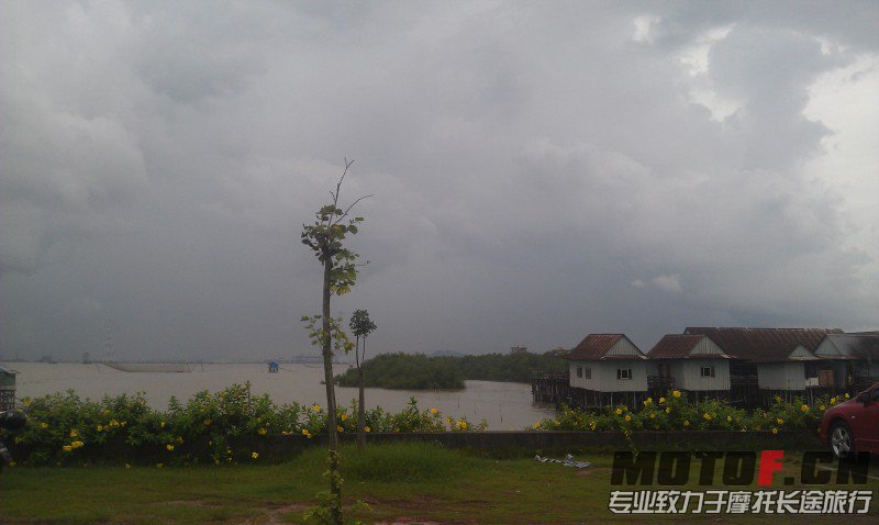 IMAG0441.jpg
