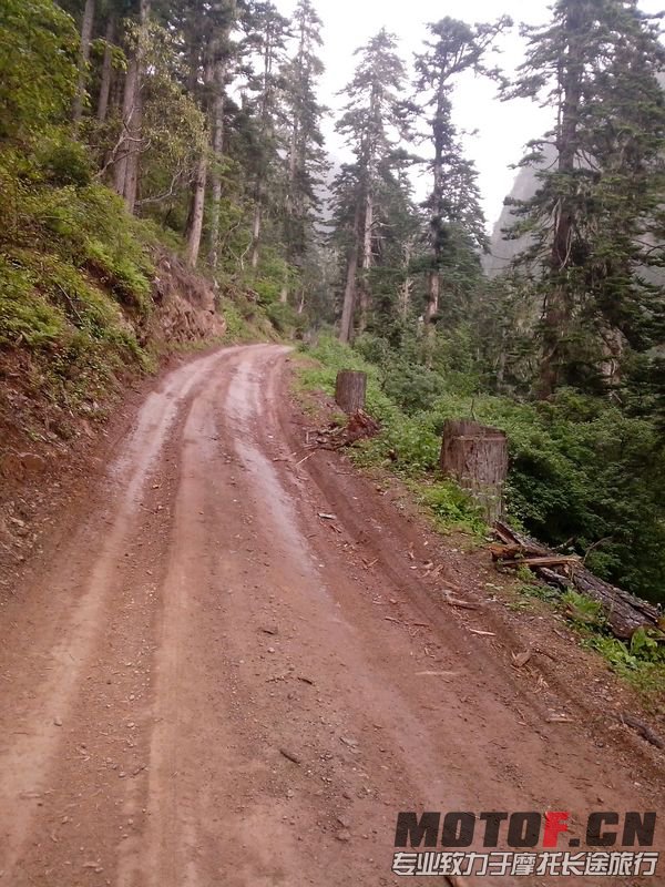 IMG_20130718_170411.jpg